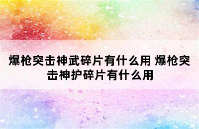 爆枪突击神武碎片有什么用 爆枪突击神护碎片有什么用